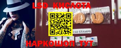 ECSTASY Свободный