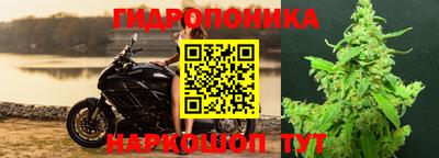 ECSTASY Свободный