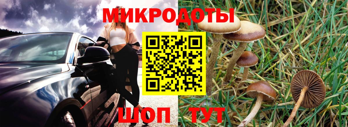 Псилоцибиновые грибы ЛСД  Вход с VPN  Полевской 